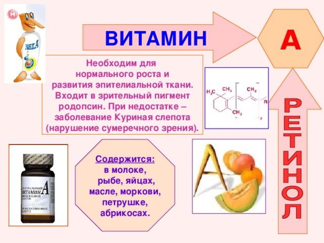 A ВИТАМИН  Необходим для нормального роста и развития эпителиальной ткани. Входит в зрительный пигмент родопсин. При недостатке – заболевание Куриная слепота (нарушение сумеречного зрения). Содержится: в молоке,  рыбе, яйцах, масле, моркови, петрушке, абрикосах. 