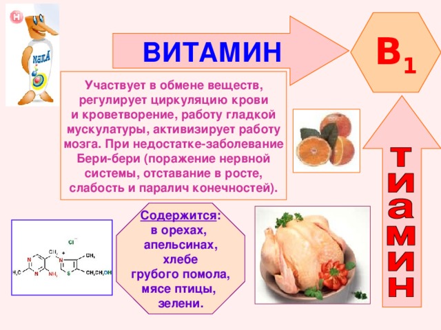 B 1 ВИТАМИН   Участвует в обмене веществ, регулирует циркуляцию крови и кроветворение, работу гладкой мускулатуры, активизирует работу мозга. При недостатке-заболевание Бери-бери (поражение нервной системы, отставание в росте, слабость и паралич конечностей).    Содержится : в орехах, апельсинах,  хлебе грубого помола, мясе птицы, зелени.   