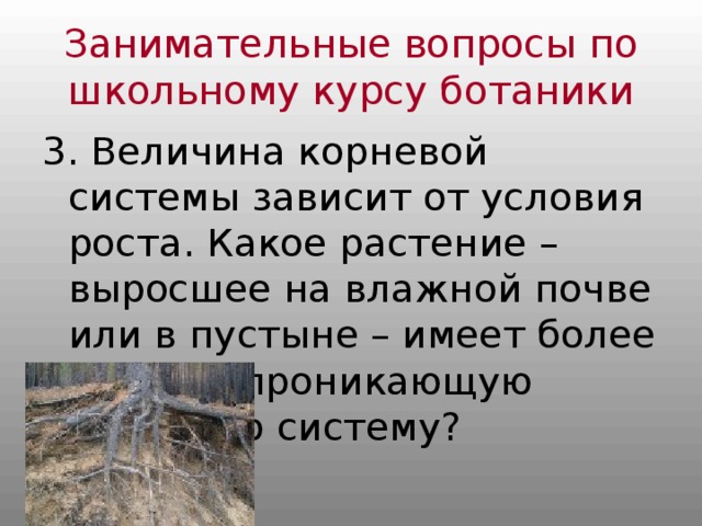 Занимательные вопросы по школьному курсу ботаники 3. Величина корневой системы зависит от условия роста. Какое растение – выросшее на влажной почве или в пустыне – имеет более глубоко проникающую корневую систему? 