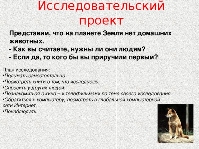 Исследовательский проект Представим, что на планете Земля нет домашних животных. - Как вы считаете, нужны ли они людям? - Если да, то кого бы вы приручили первым? План исследования: Подумать самостоятельно. Посмотреть книги о том, что исследуешь. Спросить у других людей. Познакомиться с кино – и телефильмами по теме своего исследования. Обратиться к компьютеру, посмотреть в глобальной компьютерной сети Интернет. Понаблюдать. 