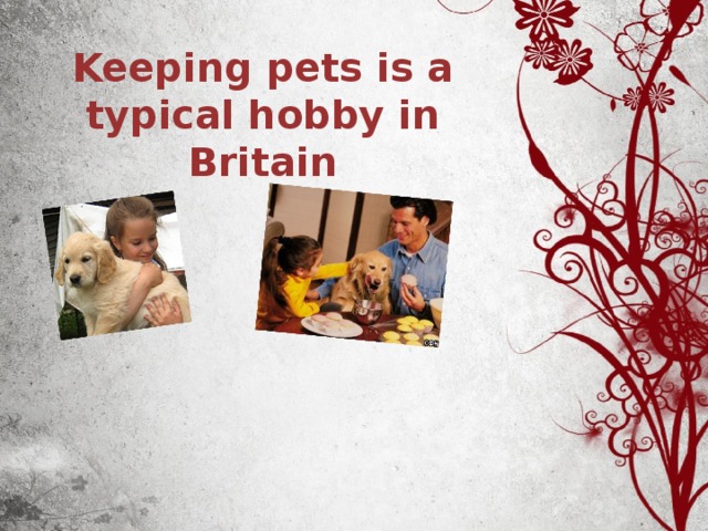 Keeping pets is a typical hobby in Britain 