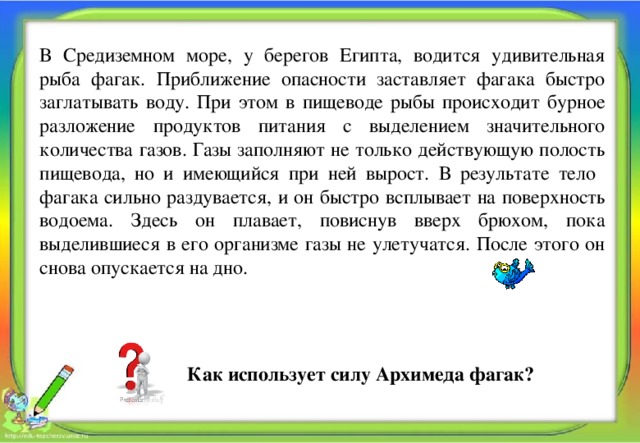 В Средиземном море, у берегов Египта, водится удивительная рыба фагак. Приближение опасности заставляет фагака быстро заглатывать воду. При этом в пищеводе рыбы происходит бурное разложение продуктов питания с выделением значительного количества газов. Газы заполняют не только действующую полость пищевода, но и имеющийся при ней вырост. В результате тело фагака сильно раздувается, и он быстро всплывает на поверхность водоема. Здесь он плавает, повиснув вверх брюхом, пока выделившиеся в его организме газы не улетучатся. После этого он снова опускается на дно.    Как использует силу Архимеда фагак? Алпатова Светлана Ремовна Муниципальное общеобразовательное учреждение 