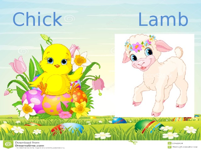 Chick  Lamb 