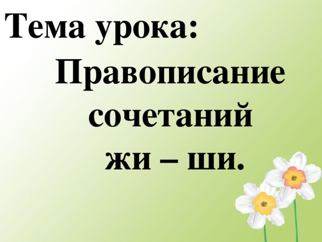 Урок 6 класс орфография презентация