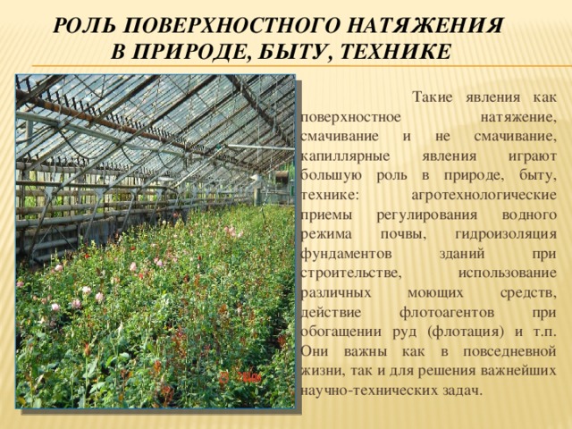 Явление поверхностного натяжения. Роль поверхностного натяжения. Поверхностное натяжение в природе и технике. Поверхностное натяжение в технике примеры. Применение поверхностного натяжения.