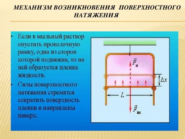 Проект по физике поверхностное натяжение жидкости