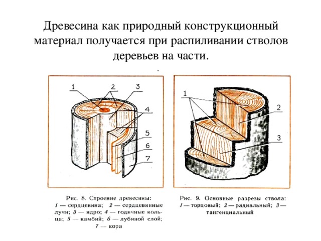 Древесина как природный конструкционный материал получается при распиливании стволов деревьев на части. 