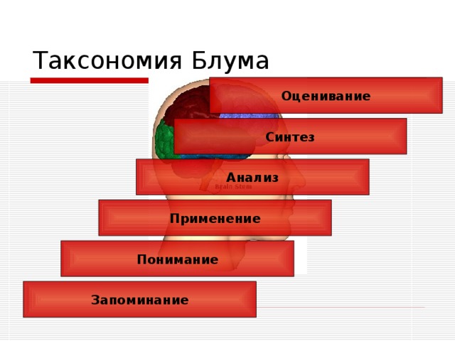 Таксономия зеленых проектов это