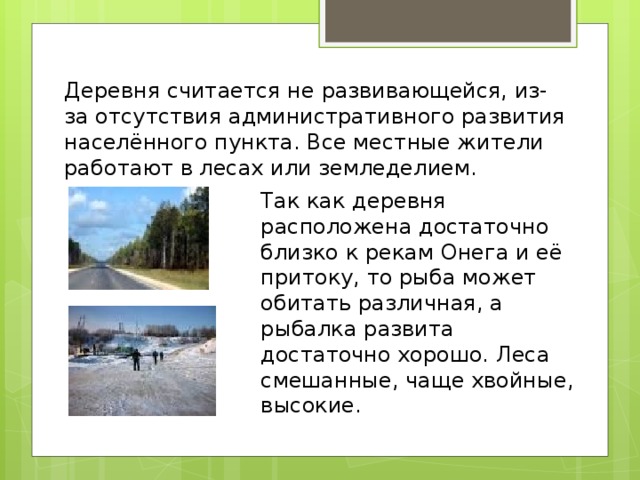 Деревня считается не развивающейся, из-за отсутствия административного развития населённого пункта. Все местные жители работают в лесах или земледелием. Так как деревня расположена достаточно близко к рекам Онега и её притоку, то рыба может обитать различная, а рыбалка развита достаточно хорошо. Леса смешанные, чаще хвойные, высокие. 