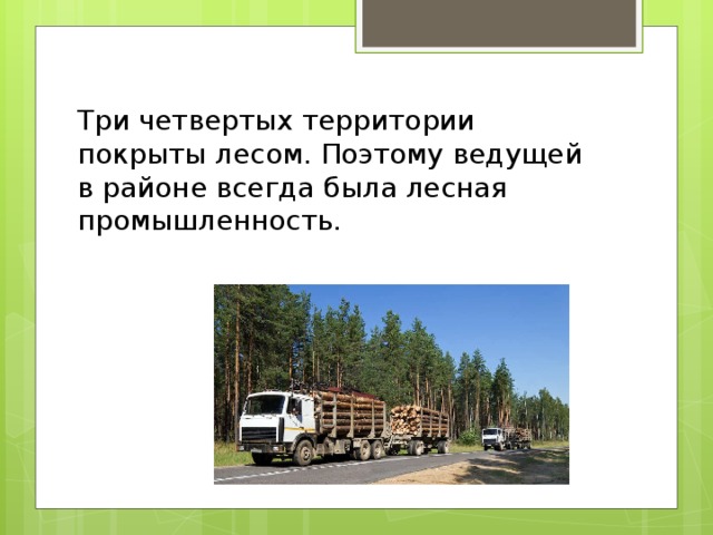 Три четвертых территории покрыты лесом. Поэтому ведущей в районе всегда была лесная промышленность. 