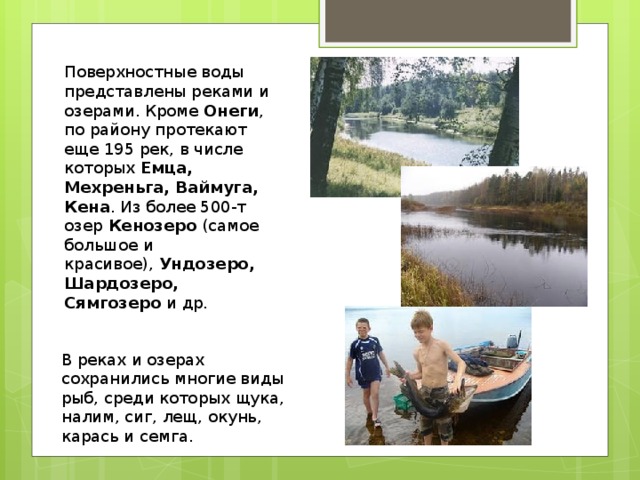 Поверхностные воды представлены реками и озерами. Кроме  Онеги , по району протекают еще 195 рек, в числе которых  Емца, Мехреньга, Ваймуга, Кена . Из более 500-т озер  Кенозеро  (самое большое и красивое),  Ундозеро, Шардозеро, Сямгозеро  и др. В реках и озерах сохранились многие виды рыб, среди которых щука, налим, сиг, лещ, окунь, карась и семга. 