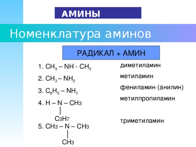 Гомологом метиламина является. Номенклатура Аминов. Третичный Амин номенклатура.