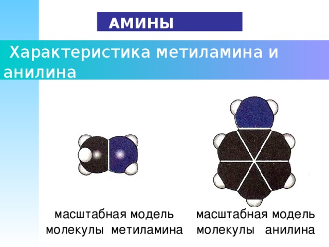 Тест по теме амины. Особенности строения метиламина и анилина. Применение метиламина и анилина. Характеристика метиламина и анилина таблица. Характеристика метиламина и анилина.