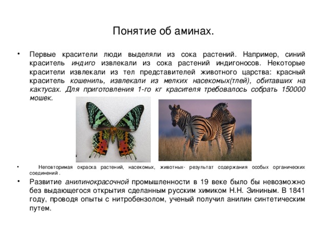 Понятие об аминах. Первые красители люди выделяли из сока растений. Например, синий краситель индиго извлекали из сока растений индигоносов. Некоторые красители извлекали из тел представителей животного царства: красный краситель кошениль, извлекали из мелких насекомых(тлей), обитавших на кактусах. Для приготовления 1-го кг красителя требовалось собрать 150000 мошек.  Неповторимая окраска растений, насекомых, животных- результат содержания особых органических соединений . Развитие анилинокрасочной промышленности  в 19 веке было бы невозможно без выдающегося открытия сделанным русским химиком Н.Н. Зининым. В 1841 году, проводя опыты с нитробензолом, ученый получил анилин синтетическим путем. 