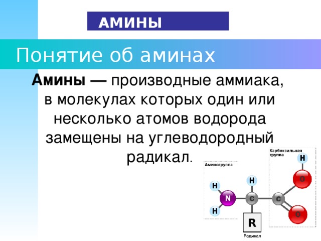 Амины презентация 10 класс углубленный уровень