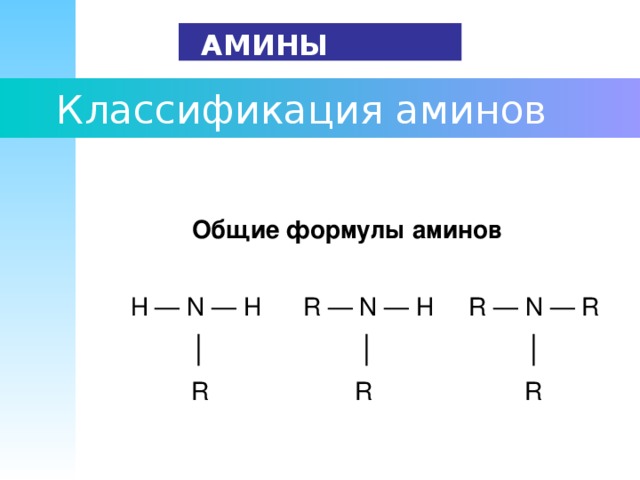 Заполните схему приведите примеры для каждой группы аминов классификация аминов