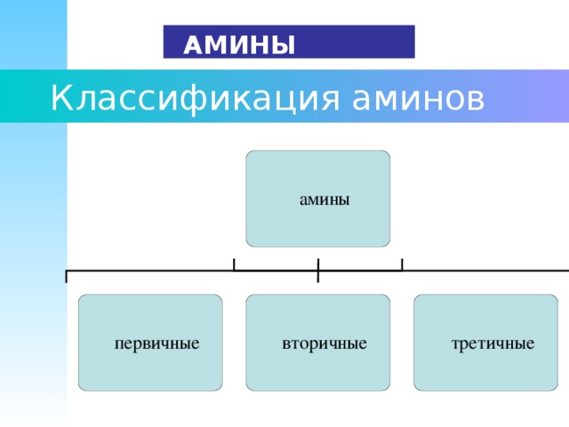   АМИНЫ  Классификация аминов 