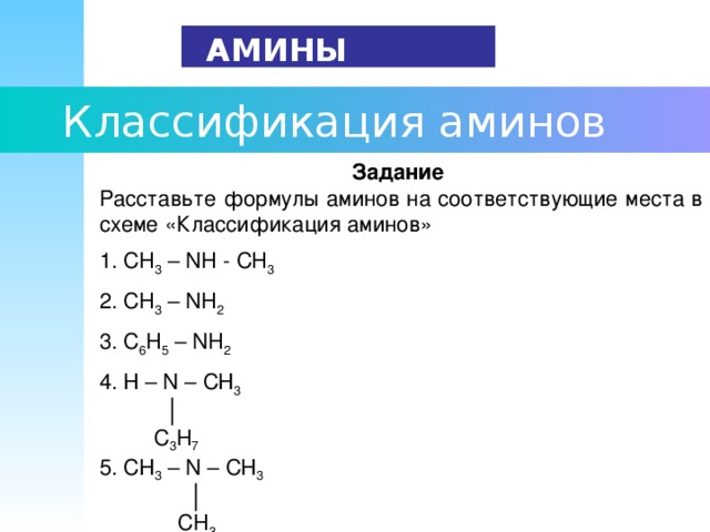 Классификация аминов схема