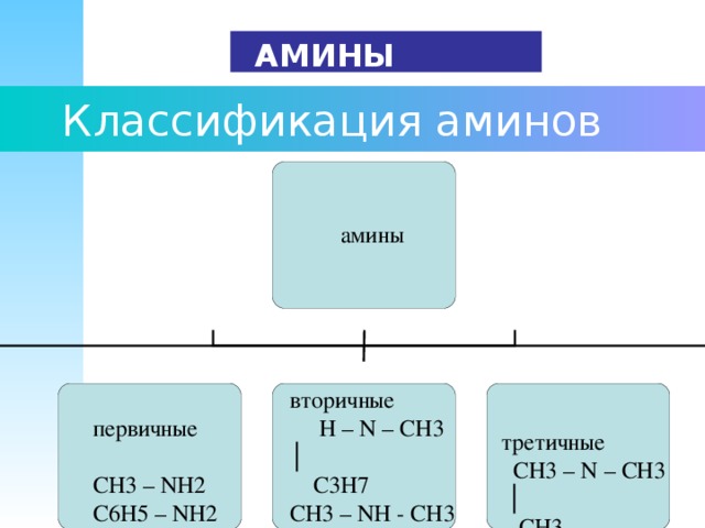 Заполните схему приведите примеры для каждой группы аминов классификация аминов