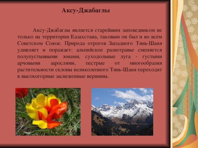  Аксу-Джабаглы   Аксу-Джабаглы является старейшим заповедником не только на территории Казахстана, таковым он был и во всем Советском Союзе. Природа отрогов Западного Тянь-Шаня удивляет и поражает: альпийское разнотравье сменяется полупустынными зонами, суходольные луга - густыми арчовыми зарослями, пестрые от многообразия растительности склоны великолепного Тянь-Шаня переходят в высокогорные заснеженные вершины. 