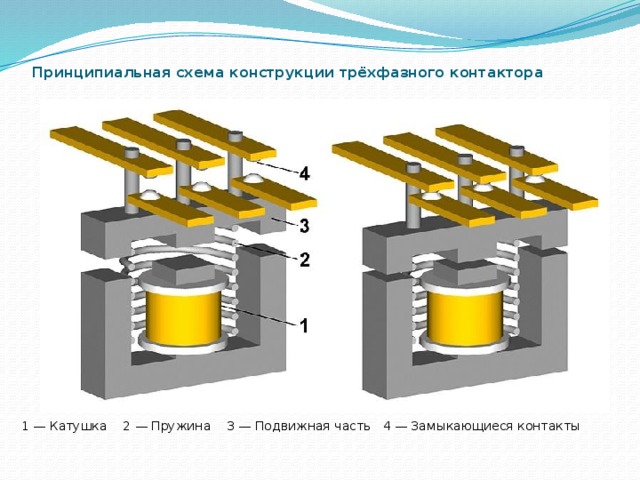Принципиальная схема конструкции трёхфазного контактора 1 — Катушка 2 — Пружина 3 — Подвижная часть 4 — Замыкающиеся контакты 