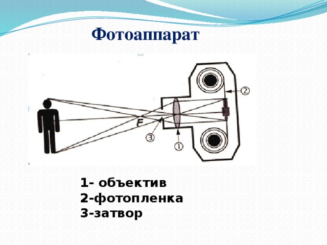    1- объектив 2-фотопленка 3-затвор Фотоаппарат 