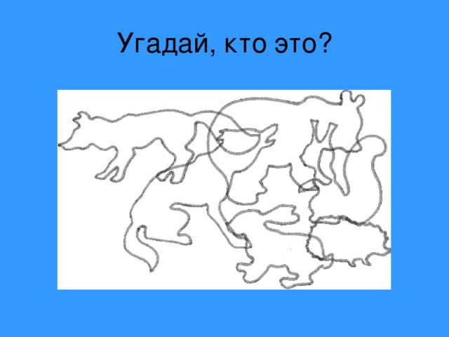 Угадай, кто это? 