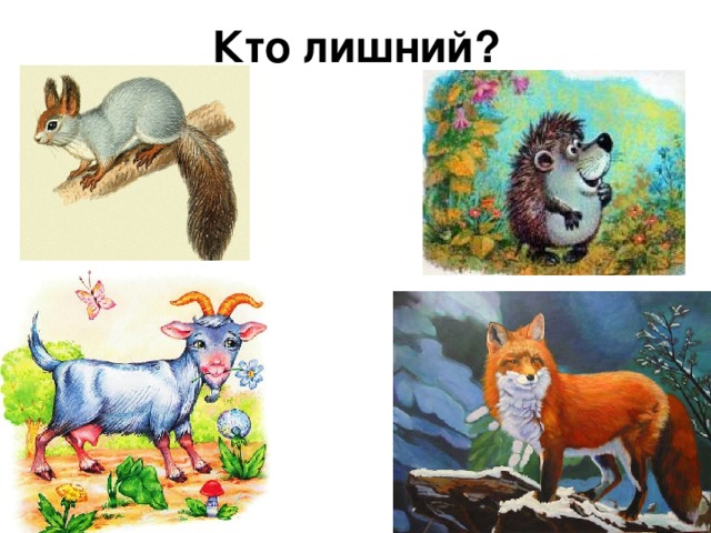 Кто лишний? 