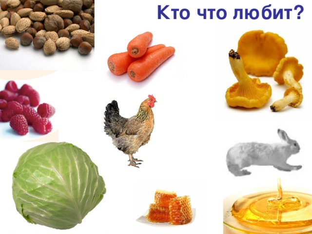 Кто что любит? 