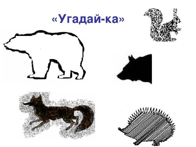 «Угадай-ка» 