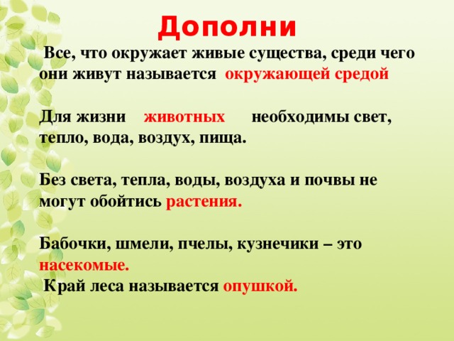 Свет необходим живым организмам для 5 класс. Всё что окружает живые существа называют. Все что окружает живые существа называют 2 класс. Воздух вода растения животные и человек это. Называют все то что окружает живое существо в природе.