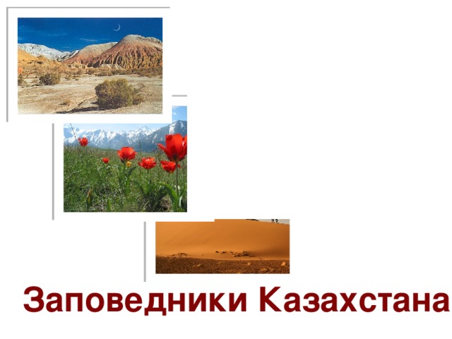 Заповедники Казахстана 