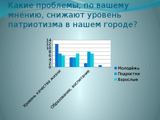 Какие проблемы, по вашему мнению, снижают уровень патриотизма в нашем городе? 