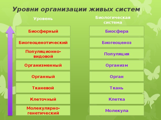 Уровни организации   живых систем Уровень Биологическая система Биосфера Биосферный Биогеоценоз Биогеоценотический Популяция Популяционно-видовой Организм Организменный Орган Органный Тканевой Ткань Клетка Клеточный Молекула Молекулярно-генетический 