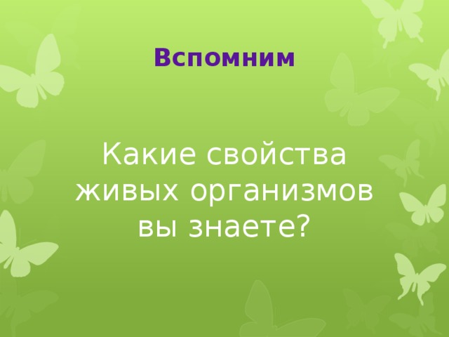 Вспомним Какие свойства живых организмов вы знаете? 