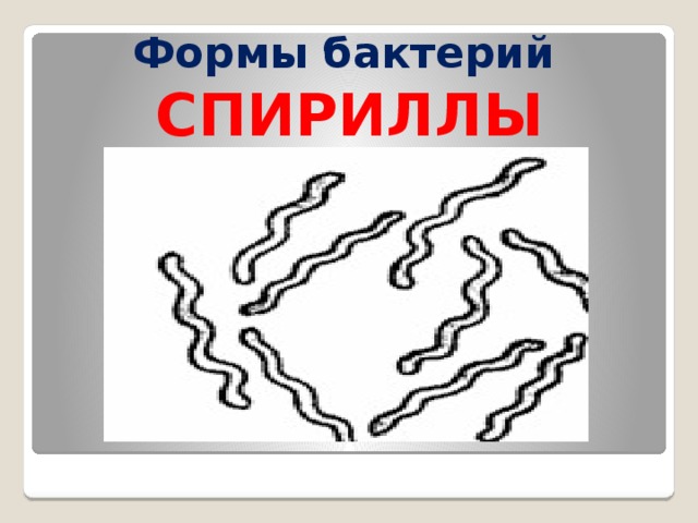 The planet crafter образец бактерий