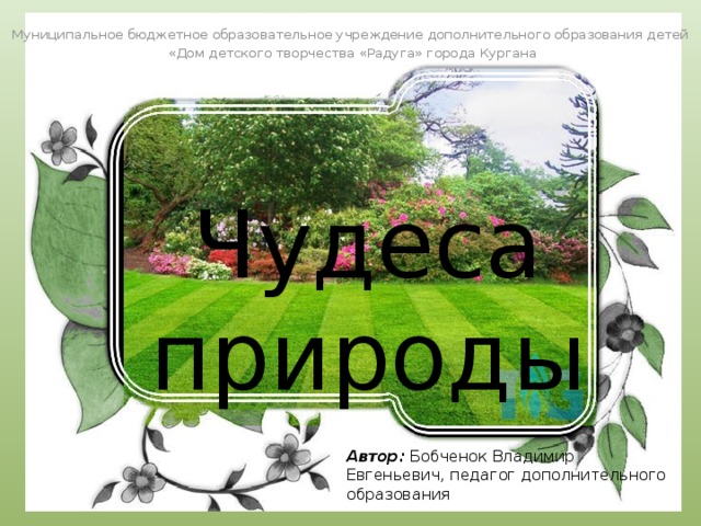 Муниципальное бюджетное образовательное учреждение дополнительного образования детей  «Дом детского творчества «Радуга» города Кургана Чудеса природы Автор: Бобченок Владимир Евгеньевич, педагог дополнительного образования 