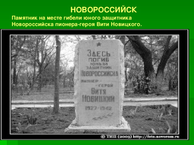 Витя новицкий презентация