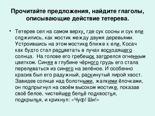 Прочитайте предложения, найдите глаголы, описывающие действие тетерева. Тетерев сел на самом верху , где сук сосны и сук ел и сл о жились, как мостик между двумя деревьями. Устроившись на этом мостик е ближе к ел и , Косач как будто стал ра сц ветать в лучах во сх одящ его солнца. На голове его гребеш ок заг о релся огне нн ым цветком. Син яя в глубине чёрн ого грудь его стала перел и ваться из син его на зелёное. И особенно красив был его радужный, ра ск инутый лирой хвост. Завидев солнце над болотн ыми , жалк ими ёлочками, он по д прыгнул на своём высоком мостик е , показав своё белое, чистейш ее бел ь ё по д хвост ь я, по д крыл ь я, и крикнул: «Чуф! Ши!» 