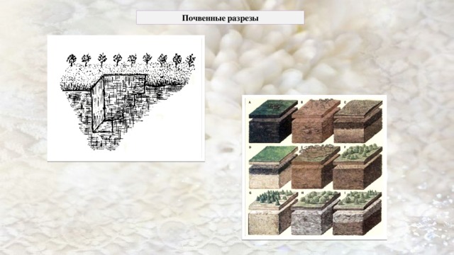 Что называют профилем местности