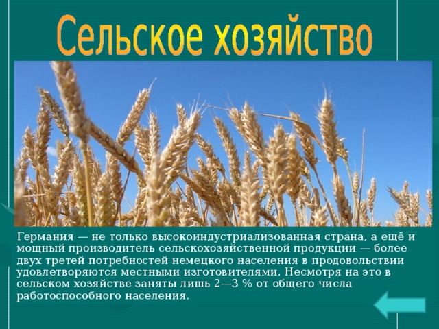 Какое направление в сельском хозяйстве преобладает фрг. Особенности хозяйства ФРГ. Структура сельского хозяйства Германии. Характеристика сельского хозяйства Германии. Сельское хозяйство Германии таблица.