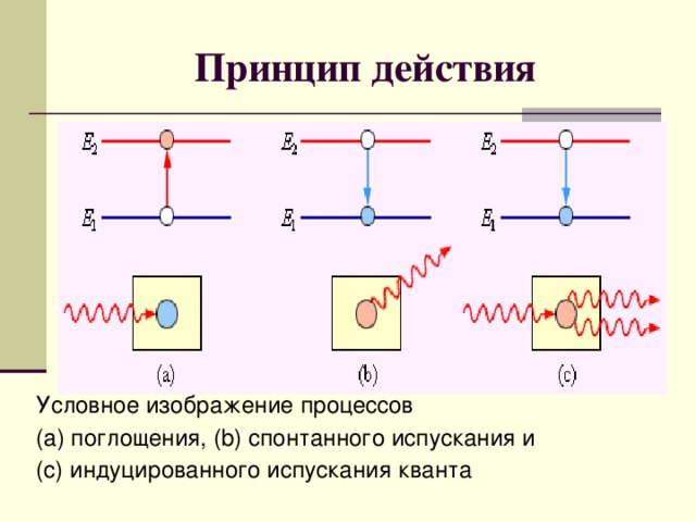 На рисунках условно изображены