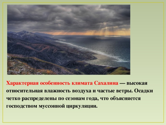 Для города характерна частая смена воздушных. Климат Сахалина. Сахалин климатические условия. Климатические условия Сахалинской области. Остров Сахалин климат.