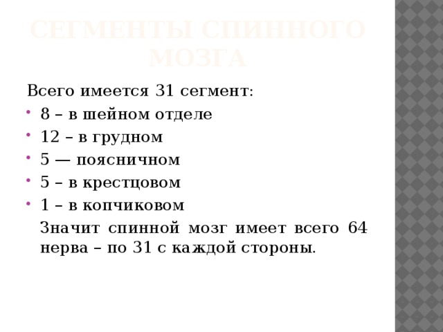 Сегменты спинного мозга Всего имеется 31 сегмент: 8 – в шейном отделе 12 – в грудном 5 — поясничном 5 – в крестцовом 1 – в копчиковом  Значит спинной мозг имеет всего 64 нерва – по 31 с каждой стороны. 
