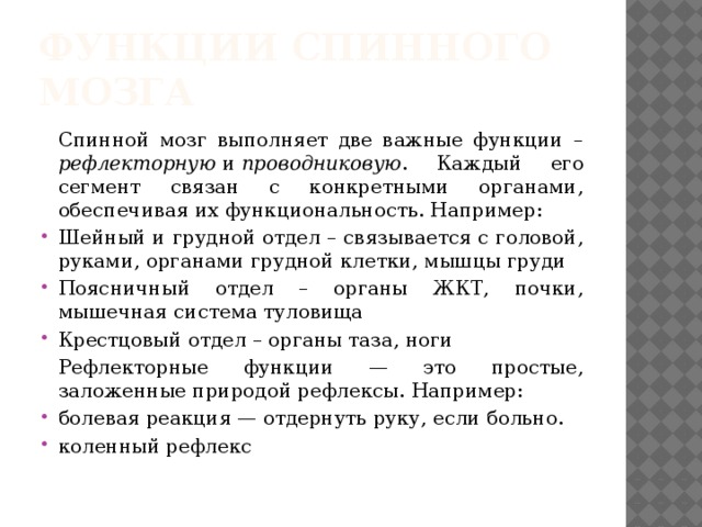 Функции спинного мозга  Спинной мозг выполняет две важные функции – рефлекторную  и  проводниковую . Каждый его сегмент связан с конкретными органами, обеспечивая их функциональность. Например: Шейный и грудной отдел – связывается с головой, руками, органами грудной клетки, мышцы груди Поясничный отдел – органы ЖКТ, почки, мышечная система туловища Крестцовый отдел – органы таза, ноги  Рефлекторные функции — это простые, заложенные природой рефлексы. Например: болевая реакция — отдернуть руку, если больно. коленный рефлекс 
