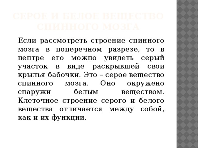 Серое и белое вещество спинного мозга  Если рассмотреть строение спинного мозга в поперечном разрезе, то в центре его можно увидеть серый участок в виде раскрывшей свои крылья бабочки. Это – серое вещество спинного мозга. Оно окружено снаружи белым веществом. Клеточное строение серого и белого вещества отличается между собой, как и их функции. 