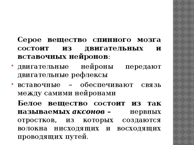  Серое вещество спинного мозга состоит из двигательных и вставочных нейронов : двигательные нейроны передают двигательные рефлексы вставочные – обеспечивают связь между самими нейронами  Белое вещество состоит из так называемых  аксонов  – нервных отростков, из которых создаются волокна нисходящих и восходящих проводящих путей. 