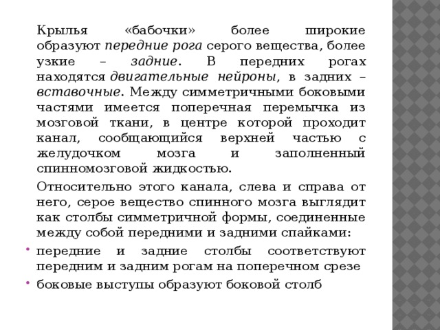 Крылья «бабочки» более широкие образуют  передние рога  серого вещества, более узкие – задние . В передних рогах находятся  двигательные нейроны , в задних – вставочные . Между симметричными боковыми частями имеется поперечная перемычка из мозговой ткани, в центре которой проходит канал, сообщающийся верхней частью с желудочком мозга и заполненный спинномозговой жидкостью.  Относительно этого канала, слева и справа от него, серое вещество спинного мозга выглядит как столбы симметричной формы, соединенные между собой передними и задними спайками: передние и задние столбы соответствуют передним и задним рогам на поперечном срезе боковые выступы образуют боковой столб 