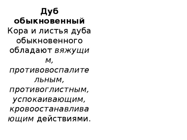 Дуб обыкновенный  Кора и листья дуба обыкновенного обладают  вяжущим, противовоспалительным, противоглистным, успокаивающим, кровоостанавливающим  действиями.  