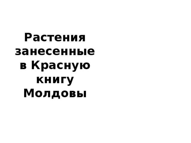 Растения занесенные в Красную книгу Молдовы    